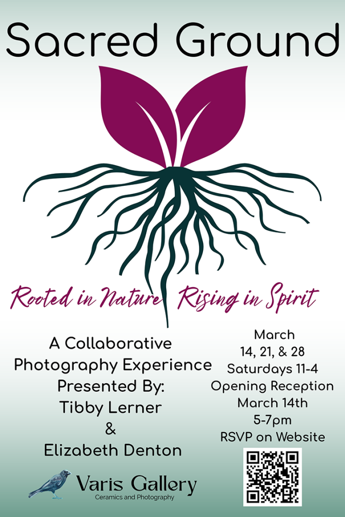 Sacred Ground: Rooted in Nature Rising in Spirit