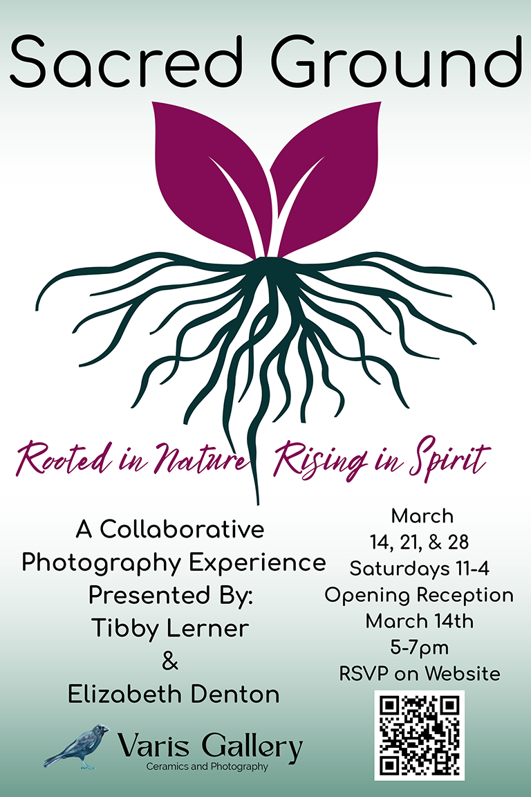 Sacred Ground: Rooted in Nature Rising in Spirit